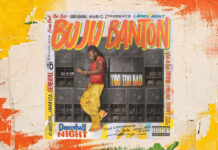 Todo sobre «Too Too Bad», el nuevo álbum de Buju Banton Buju Banton - Too Too Bad